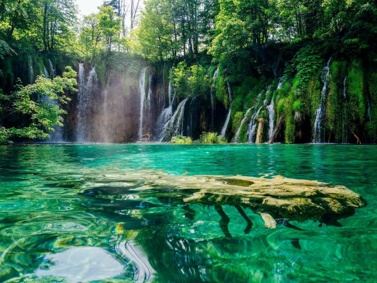House Matijevic Simic Otel Grabovac  Dış mekan fotoğraf