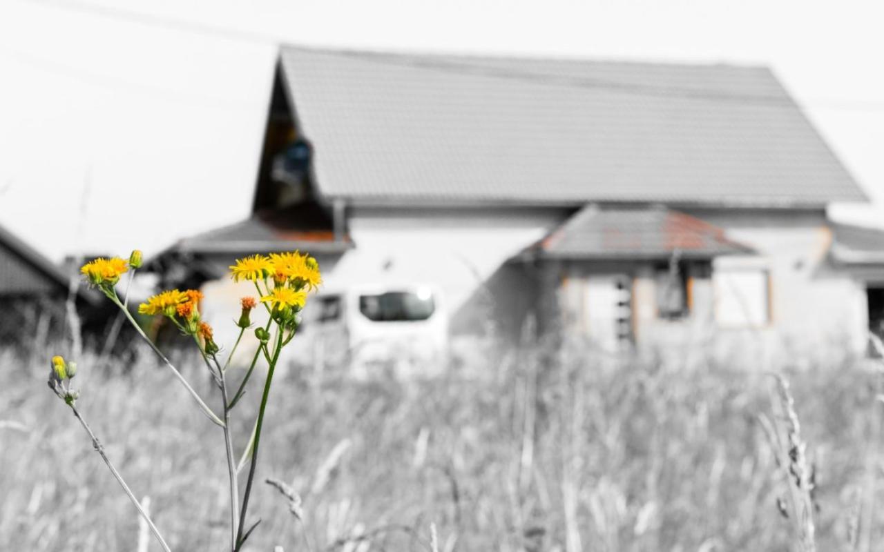 House Matijevic Simic Otel Grabovac  Dış mekan fotoğraf
